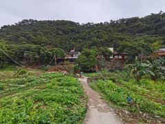 -百里鲜(羚羊峡古栈道森林公园店)