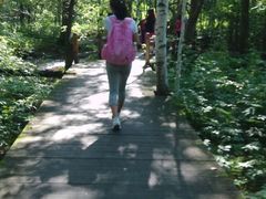 -五营红松林海景区