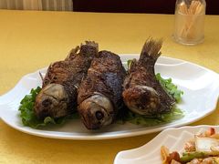 香茅草烤鲫鱼-蝴蝶泉宾馆-中餐厅