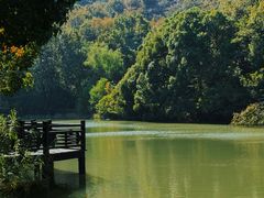 -白马涧龙池景区