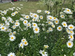 -星巴克(红房子店)