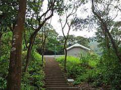 -梧桐山风景名胜区