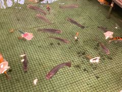 -金河半岛园林酒家(金融城店)