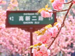 -西安创业咖啡街区