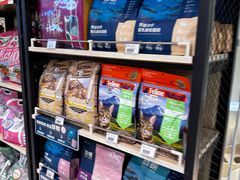 -momokira米努特·德文卷毛猫·棉花面纱犬