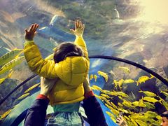 -福州罗源湾海洋世界旅游区