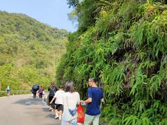 -广州白江湖森林公园