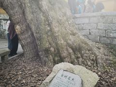-无锡惠山寺