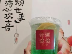 -有喵·猫咖·狗咖·30几只猫10只小狗(岗厦店)