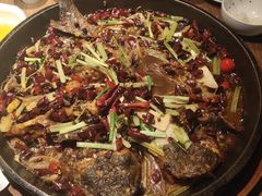 -老板恋上鱼(印象城店)