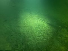 -白鹤梁水下博物馆