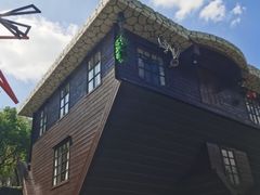 -金山农民画村-枫泾波兰倒置屋