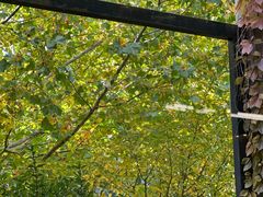 -老梦面包CHEZMOREL(麦子店)