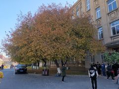 -辽宁大学(崇山校区)