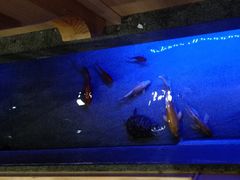 -九田家黑牛烤肉料理(衡百国际店)