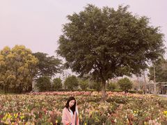 -广东花都香草世界旅游度假区