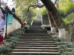 -宁波市保国寺古建筑博物馆