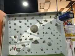 -嗨马乐动室内潮玩运动·团建·轰趴·桌游(南丰汇店)
