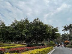-厦门帝元维多利亚大酒店(环岛路黄厝海滩店)