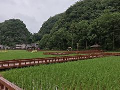 -高荡千年布依古寨旅游景区