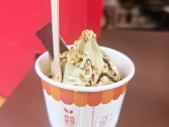 -九龙公园