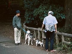 -井之头恩赐公园