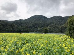 -广州市石门国家森林公园