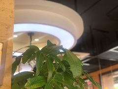 -印象江南(东栅店)
