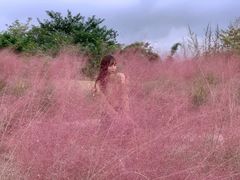 -白鹭湾湿地公园