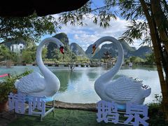 -靖西鹅泉风景区