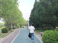 -太阳宫公园