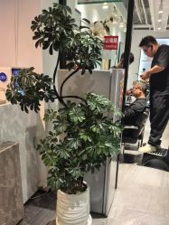 -LJOY丽锦造型·烫发染发