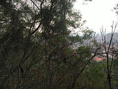 -草庵摩尼教遗址公园