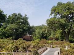 -迎泽公园
