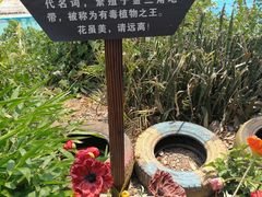 -西双版纳傣族园
