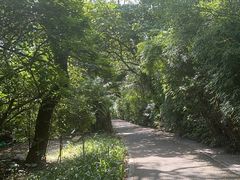 -华侨城湿地公园