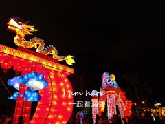 -万绿园