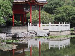 -顺峰山公园