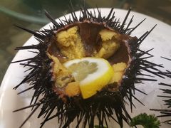海胆-小渔船渔家传统菜(鲅鱼圈店)