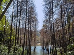 -广州市白云山风景名胜区