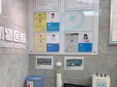 -美联众合动物医院(·中兽医·疑难杂症·严家桥分院)