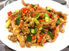 -壹盏灯(惠农店)