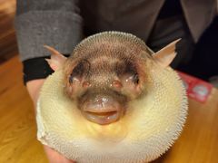 -永安鱼庄·镇江菜(丁卯店)