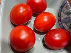 -老四川(T3航站楼F指廊店)