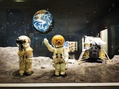 -济州岛泰迪熊博物馆