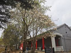 -国家植物园南园