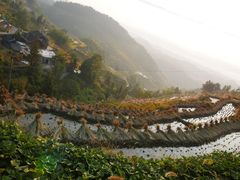 -紫鹊界梯田景区