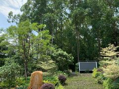 -火炉山森林公园