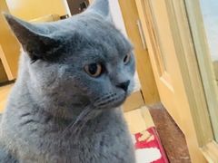 肥猫-壹人壹像工作室(购物公园店)