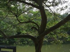 -云溪植物园